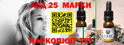 прущие крисы Кингисепп