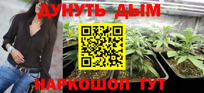 прущие крисы Кингисепп