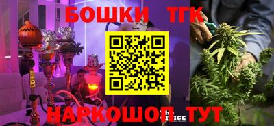 прущие крисы Кингисепп